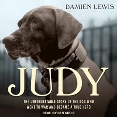 Judy by Damien Lewis audiobook