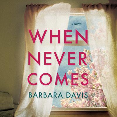 When Never Comes by Barbara Davis audiobook