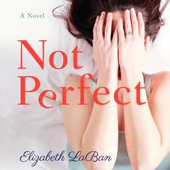 Not Perfect by Elizabeth LaBan audiobook