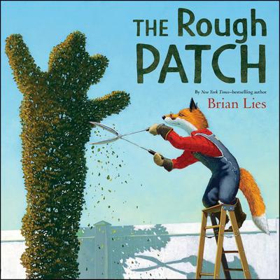 The Rough Patch by Brian Lies audiobook