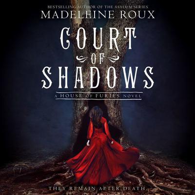 Court of Shadows by Madeleine Roux audiobook