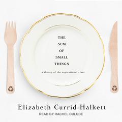 The Sum of Small Things by Elizabeth Currid-Halkett audiobook
