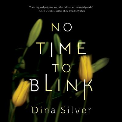 No Time To Blink by Dina Silver audiobook