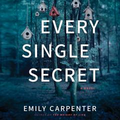 Every Single Secret by Emily Carpenter audiobook