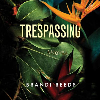 Trespassing by Brandi Reeds audiobook