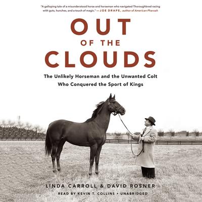 Out of the Clouds by Linda Carroll audiobook