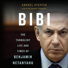 Bibi by Anshel Pfeffer audiobook