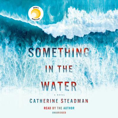 Something in the Water by Catherine Steadman audiobook