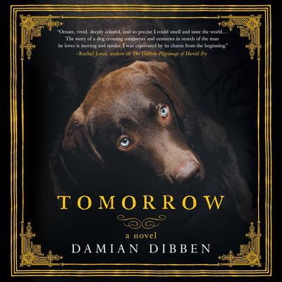 Tomorrow by Damian Dibben audiobook