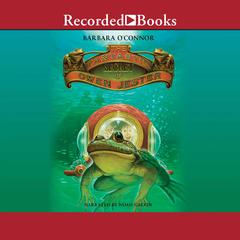 The Fantastic Secret of Owen Jester by Barbara O'Connor audiobook