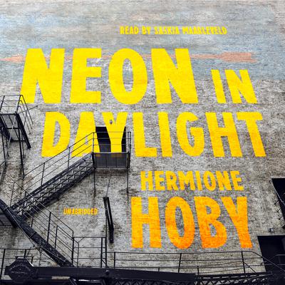 Neon in Daylight by Hermione Hoby audiobook