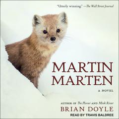 Martin Marten by Brian Doyle audiobook