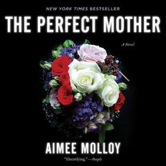 The Perfect Mother by Aimee Molloy audiobook