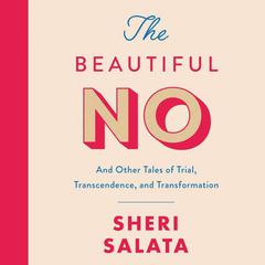 The Beautiful No by Sheri Salata audiobook