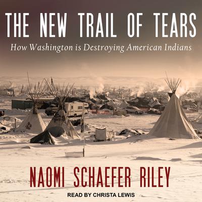 The New Trail of Tears by Naomi Schaefer Riley audiobook