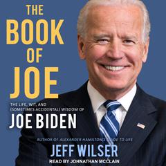 The Book of Joe by Jeff Wilser audiobook