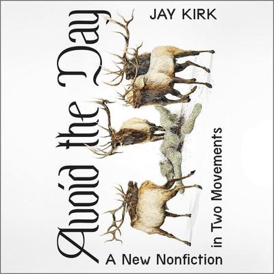Avoid the Day by Jay Kirk audiobook