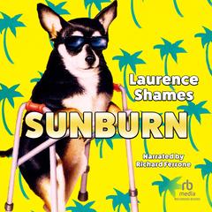 Sunburn by Laurence Shames audiobook