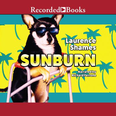 Sunburn by Laurence Shames audiobook