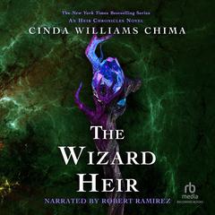 The Wizard Heir by Cinda Williams Chima audiobook