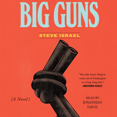 Big Guns by Steve Israel audiobook