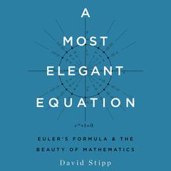 A Most Elegant Equation by David Stipp audiobook