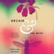 Orchid and the Wasp by  Caoilinn Hughes audiobook