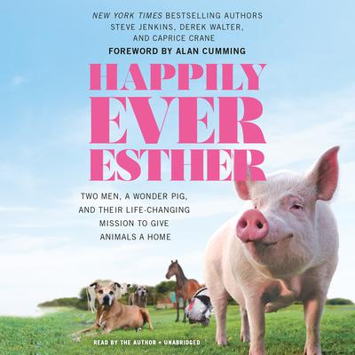 Happily Ever Esther by Steve Jenkins audiobook
