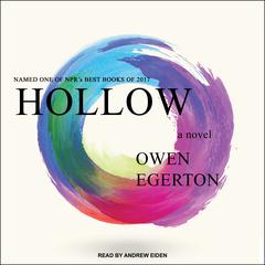Hollow by Owen Egerton audiobook