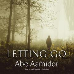 Letting Go by Abe Aamidor audiobook