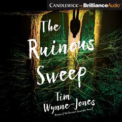 The Ruinous Sweep by Tim Wynne-Jones audiobook