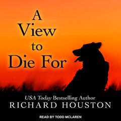 A View to Die For by Richard Houston audiobook