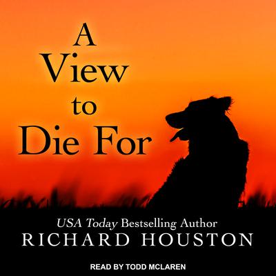 A View to Die For by Richard Houston audiobook
