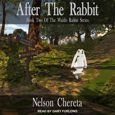 After The Rabbit by Nelson Chereta audiobook