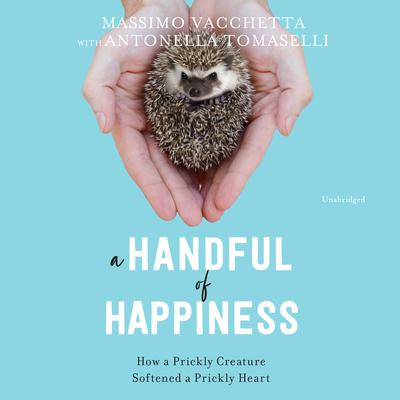 A Handful of Happiness by Massimo Vacchetta audiobook