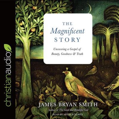 Magnificent Story by James Bryan Smith audiobook