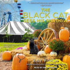 The Black Cat Sees His Shadow by Kay Finch audiobook