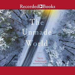 The Unmade World by Steve Yarbrough audiobook