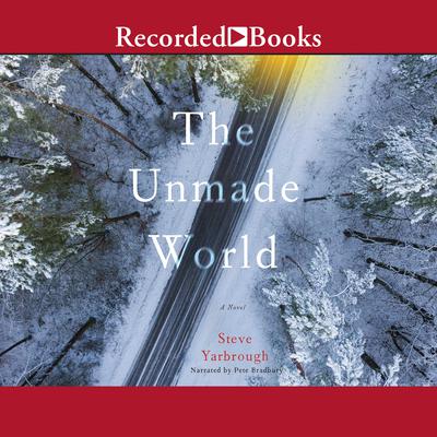 The Unmade World by Steve Yarbrough audiobook