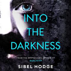 Into the Darkness by Sibel Hodge audiobook