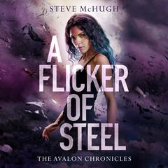 A Flicker of Steel by Steve McHugh audiobook