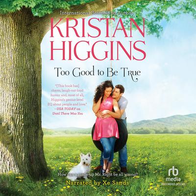 Too Good to Be True by Kristan Higgins audiobook