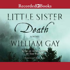 Little Sister Death by William Gay audiobook