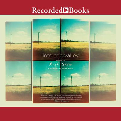 Into the Valley by Ruth Galm audiobook