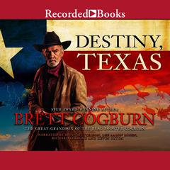 Destiny, Texas by Brett Cogburn audiobook