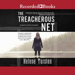The Treacherous Net by Helene Tursten audiobook