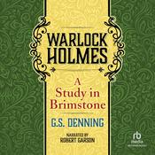 Warlock Holmes by  G.S. Denning audiobook