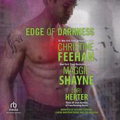 Edge of Darkness by  Maggie Shayne audiobook