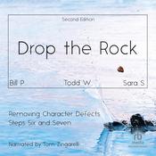 Drop the Rock: Removing Character Defects by  Bill P. audiobook