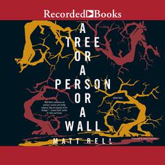 A Tree or a Person or a Wall by Matt Bell audiobook